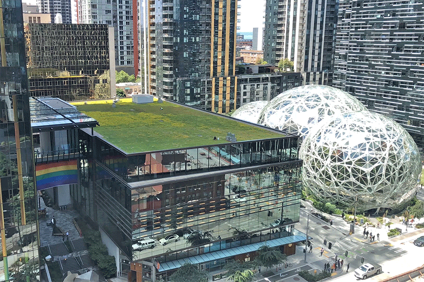 骄傲旗在西雅图亚马逊园区飘扬。