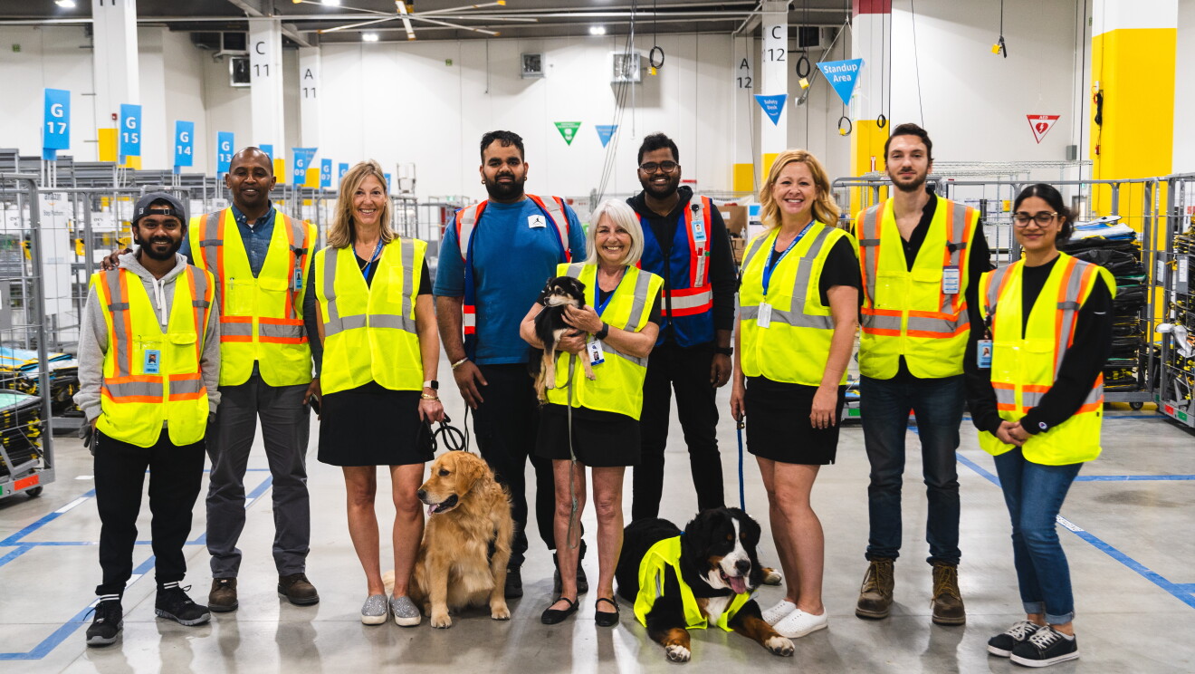 Amazon x DVV2 HERO DAWGS