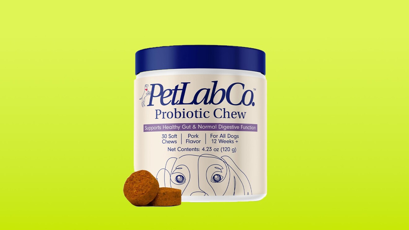 PetLabCo Probiotic Chew container with soft chews for dogs