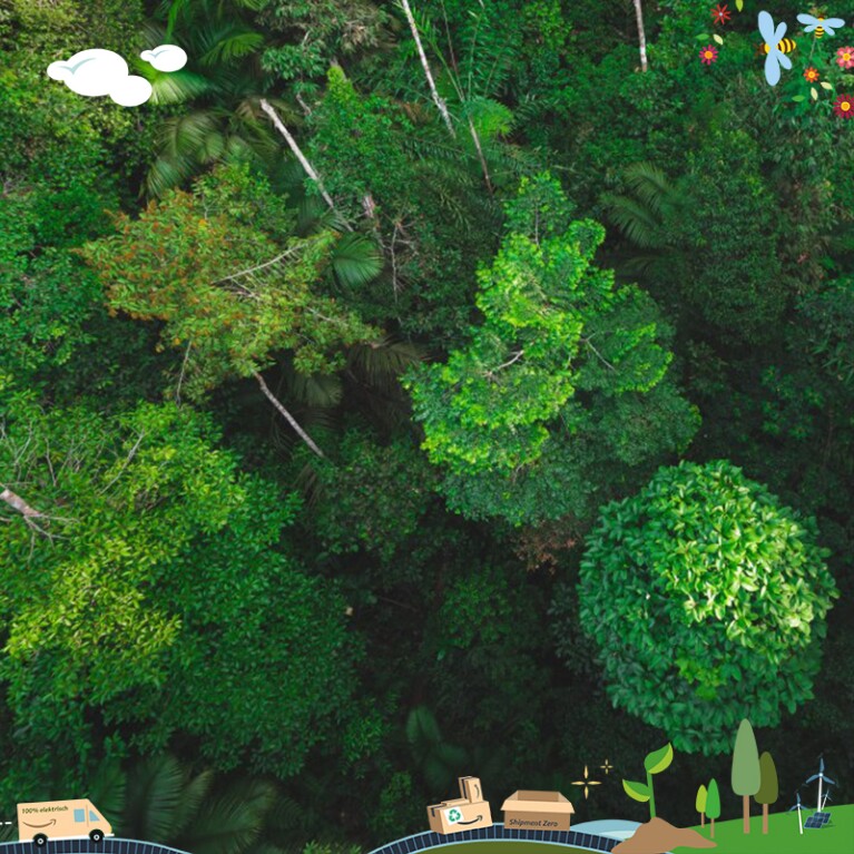 Nachhaltigkeit bei Amazon