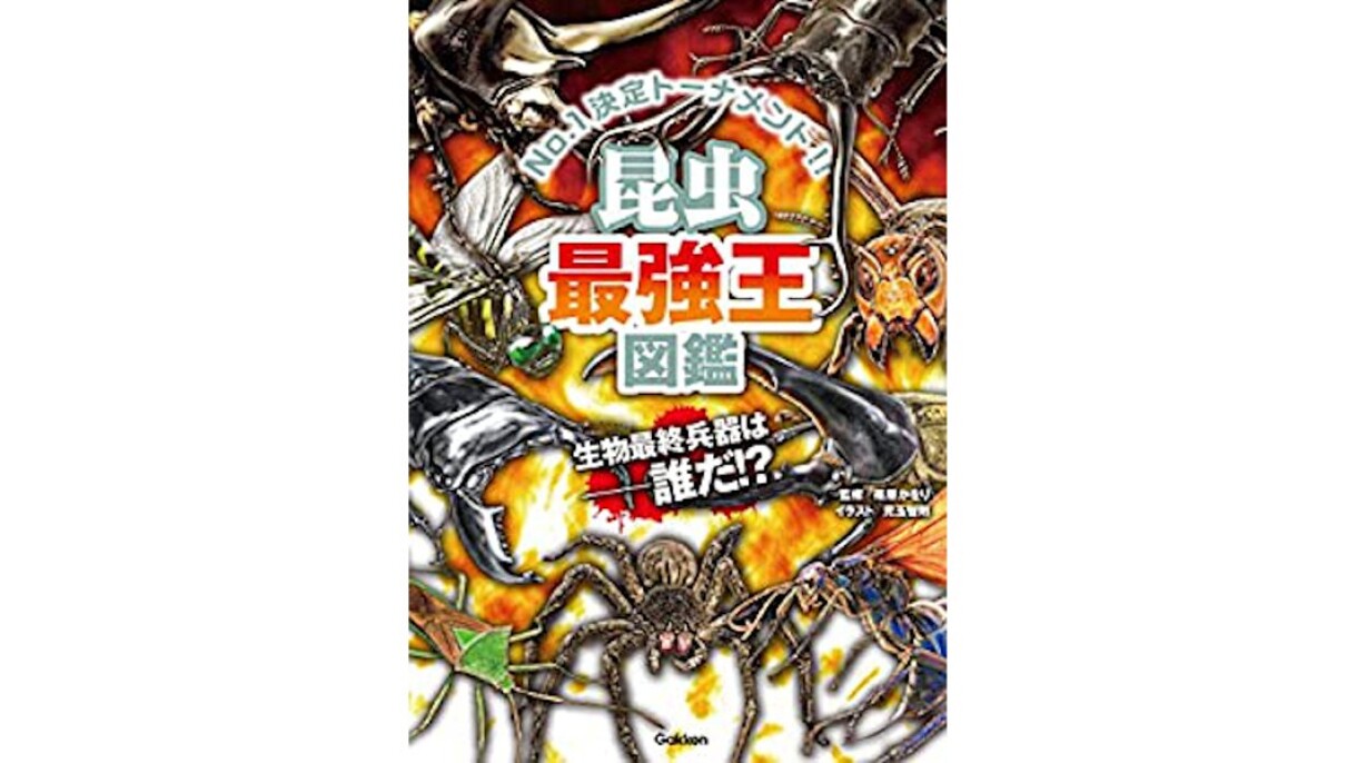 家族とアウトドア気分なおうち時間 おうちキャンプ「家キャン」をさらに盛り上げるAmazonデバイス活用術