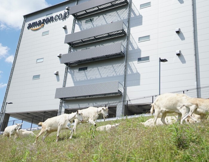 Amazonの物流ネットワークの成長を支え、次世代に向かう組織