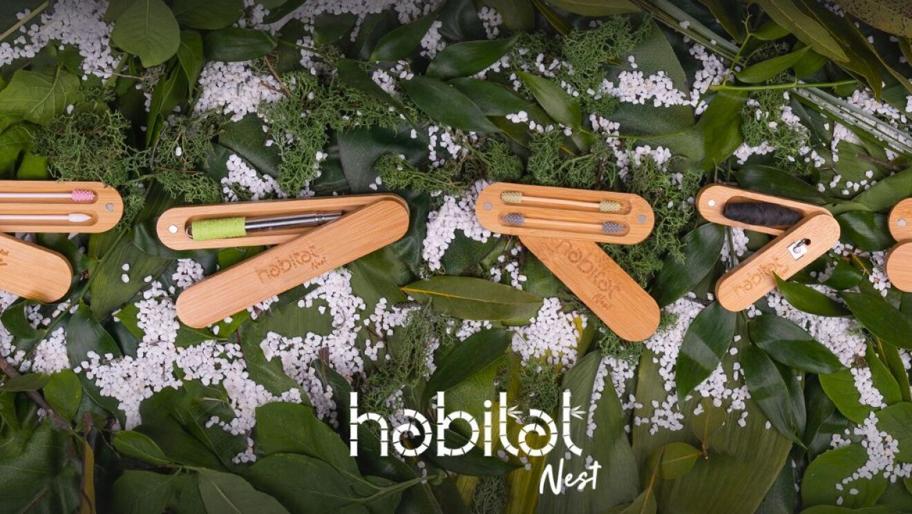 Immagini dei prodotti Habitat Nest posati su un letto di foglie di allori Ci sono 4 prodotti.