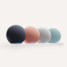 Echo Dot Colorways Product Image