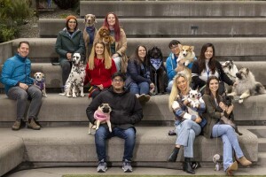 An image of dogs in the office at Amazon's Seattle headquarters with employees. 