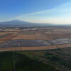 Nadara e Amazon inaugurano il più grande impianto agrivoltaico d’Italia: un progetto da 227 MW in Sicilia