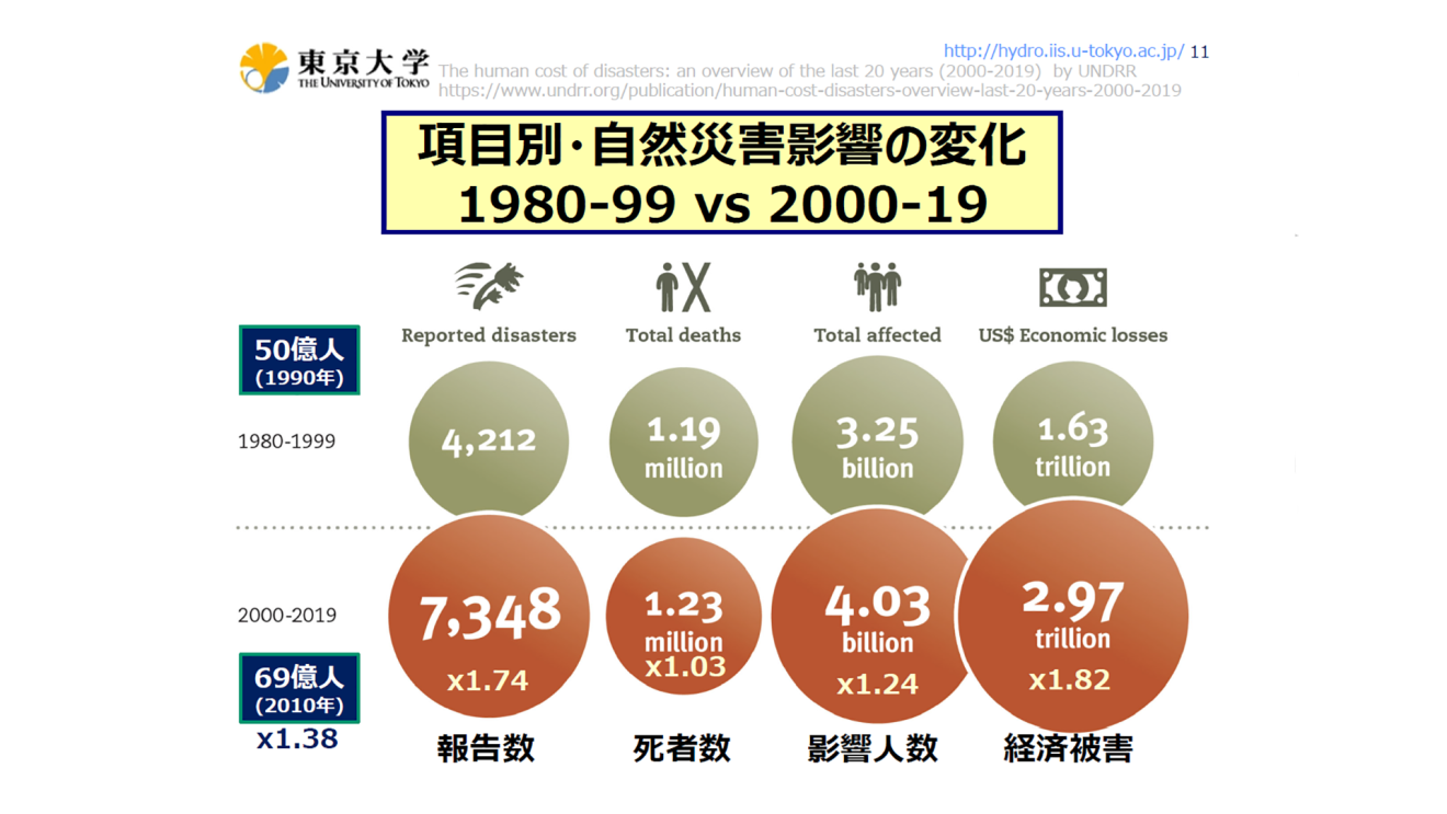 Sustainability Ambassador
