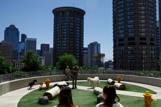 Seattle Headquarters Dog Park