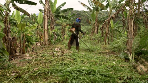 Cómo gestiona Amazon los créditos de carbono, una herramienta clave en la lucha contra el cambio climático