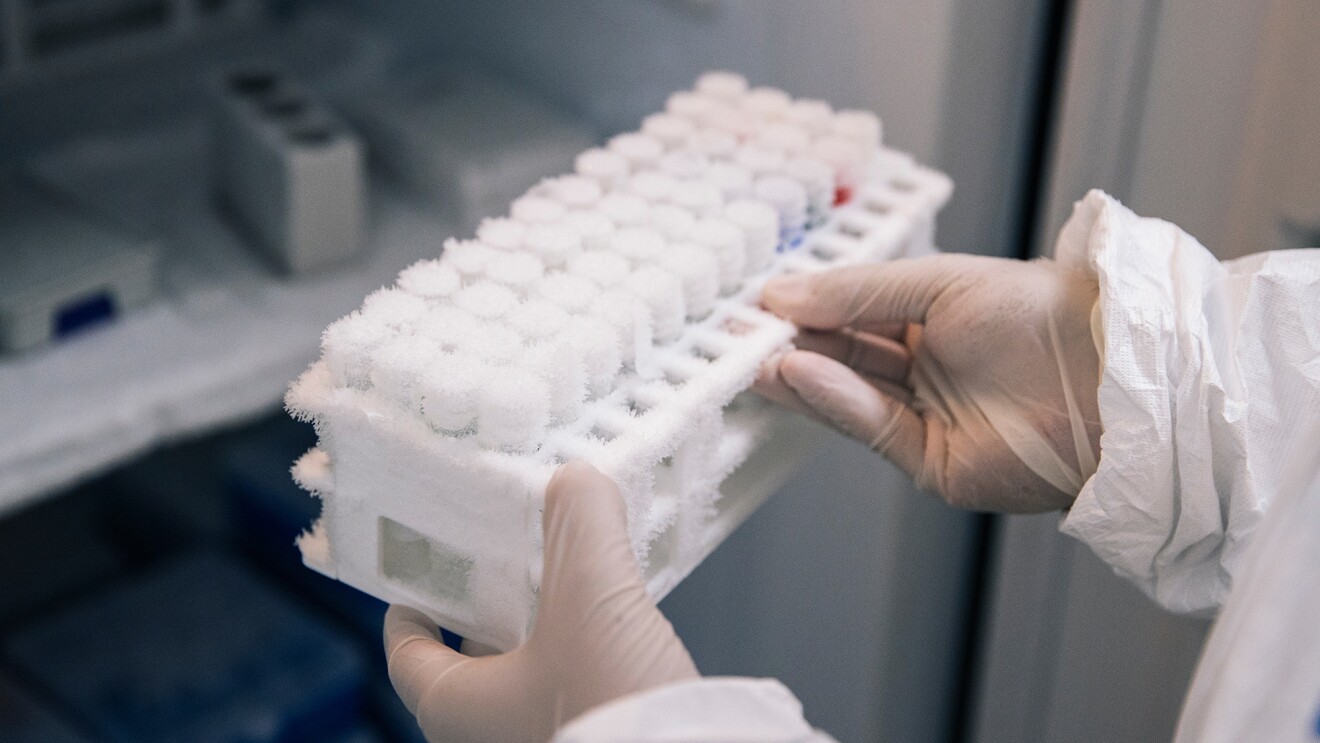 COVID-19 test samples being processed at an Amazon lab in Kentucky.