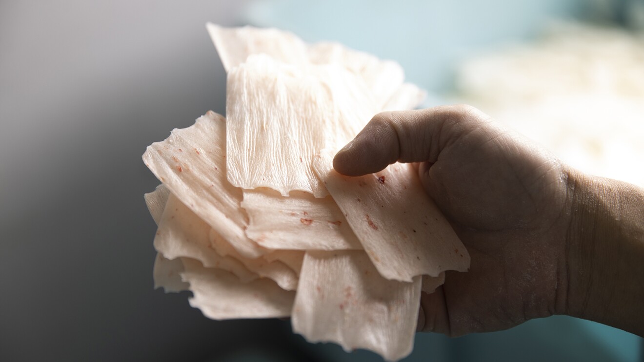 デジタルが切り拓く中小企業の未来 Vol.10　DXは老舗企業のビジネスをどう変えるか？