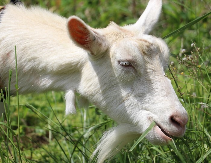 Amazonの物流ネットワークの成長を支え、次世代に向かう組織