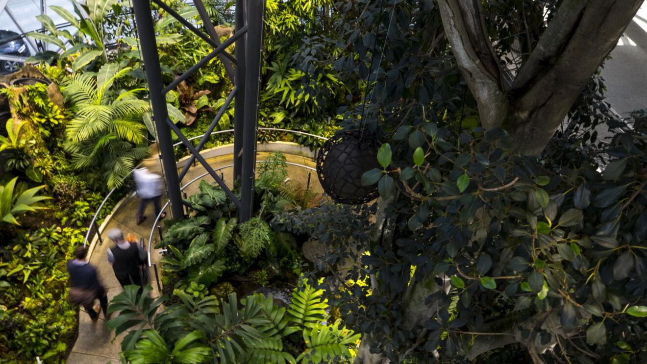 Visitors explore The Spheres