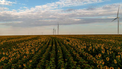Amazon établit un nouveau record de volume d’énergie renouvelable acheté par une seule entreprise