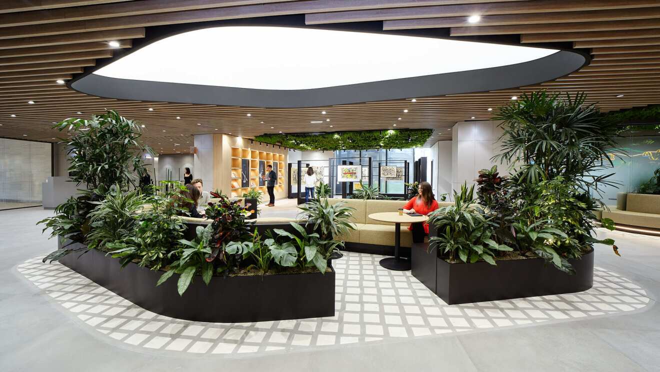 Foto Palas Campus (8).jpg