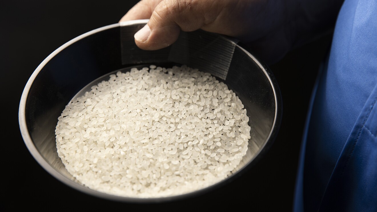 デジタルが切り拓く中小企業の未来 Vol.11　DXが生み出す地方創生の新しい形