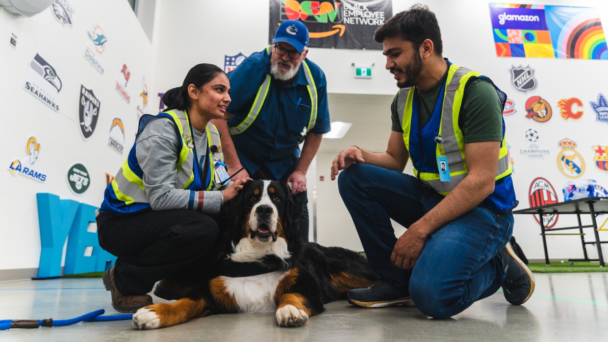 Amazon x DVV2 Therapy Dogs