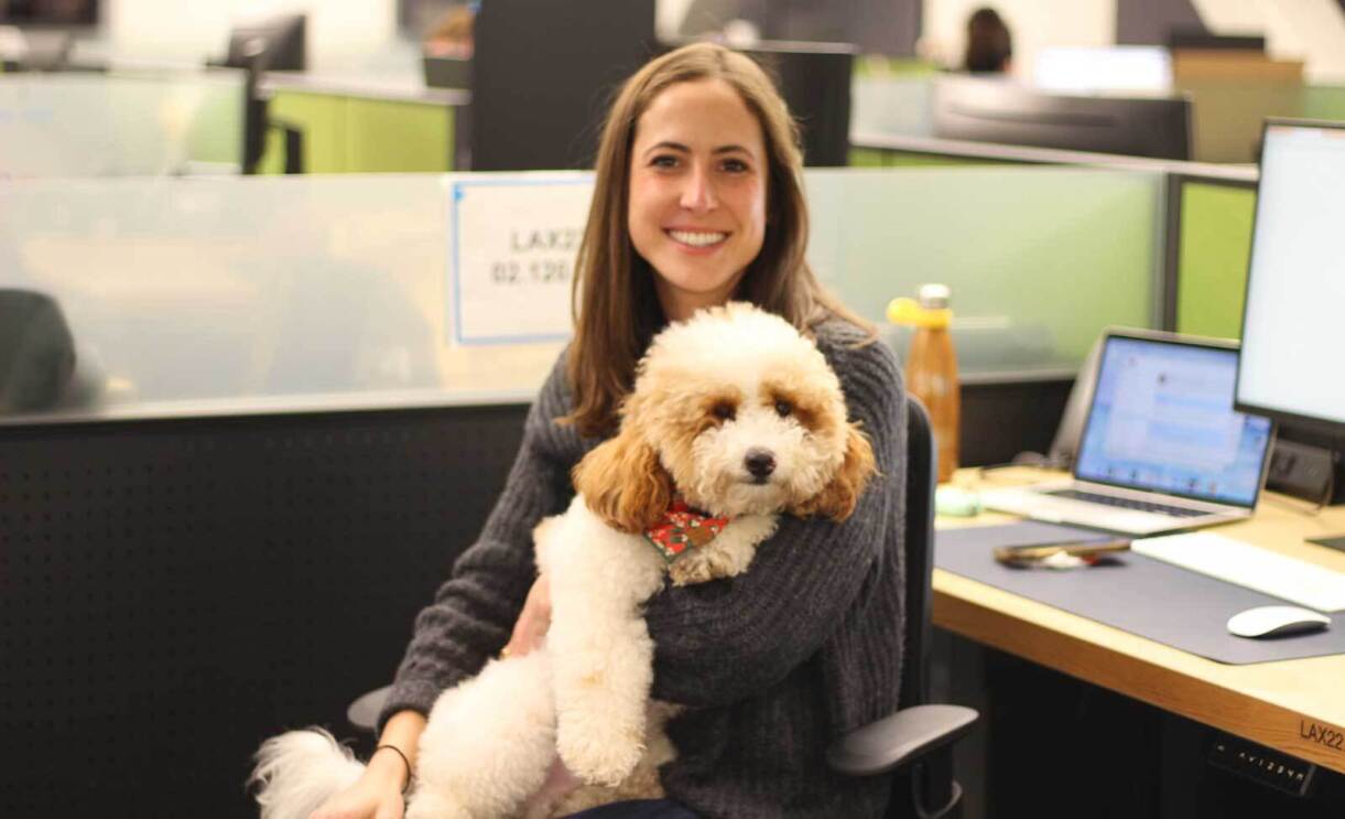 An image of a dog at an Amazon office. He is small and white with tan markings.
