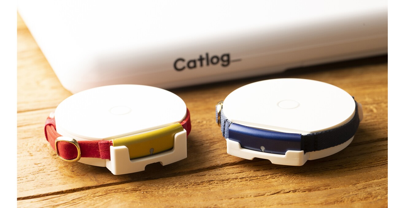 カラフルな首輪が並んだ写真