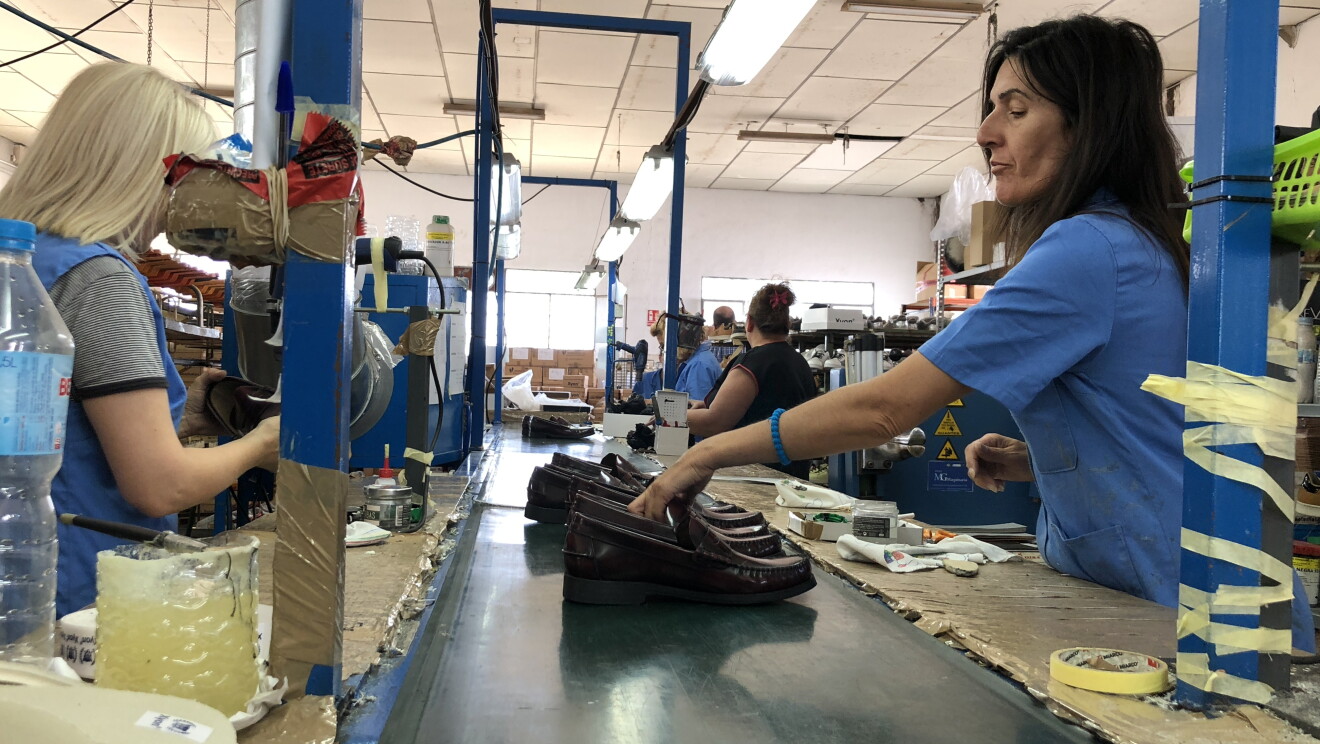 Shoe production  done by female employees of Castellanisimos, a Spanish shoe company. Employees wearing blue shirts lining the classic type male shoes on the production band. 