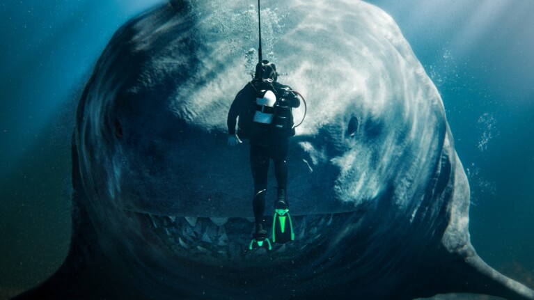 Diver suspended in water facing enormous open shark mouth