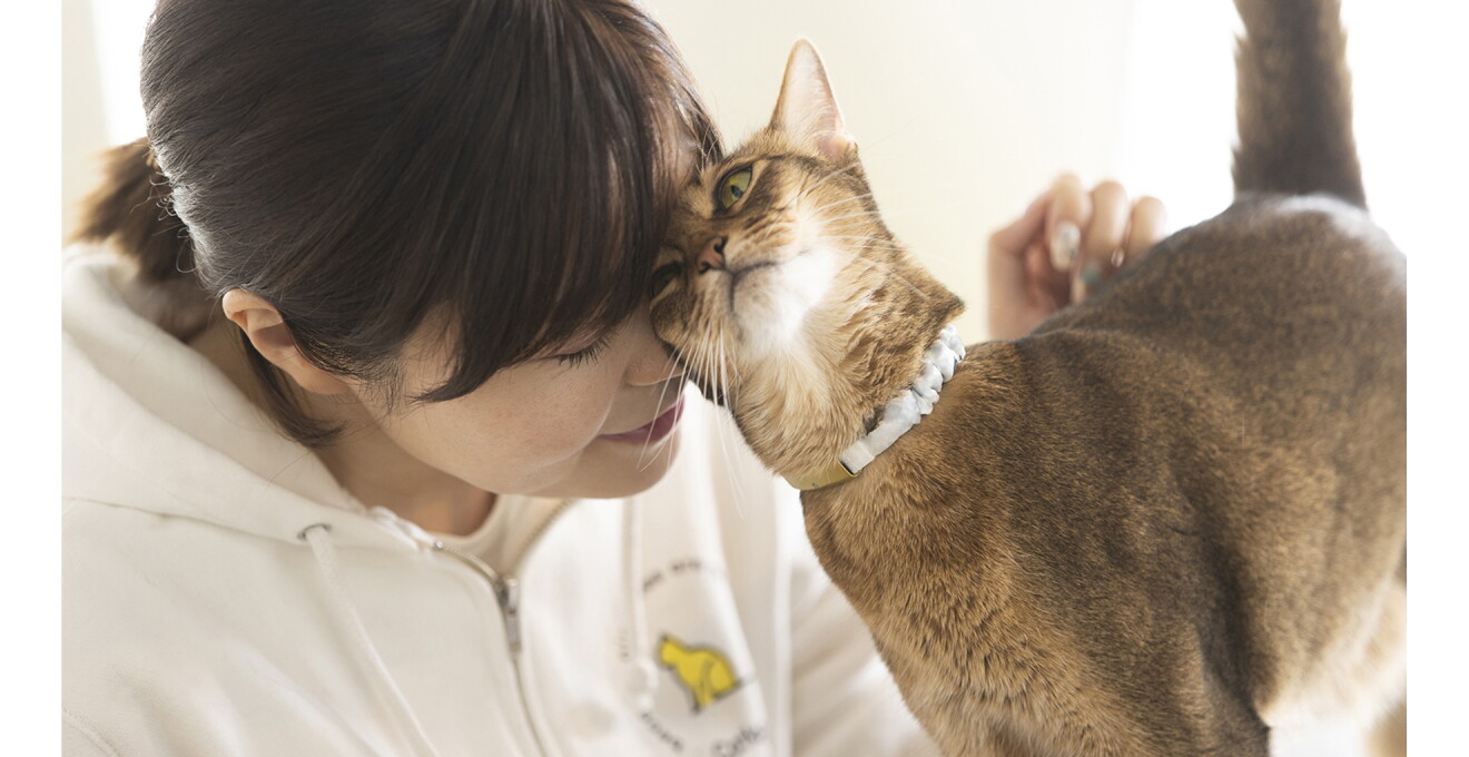 伊豫さんの顔にすり寄るブリ丸の写真