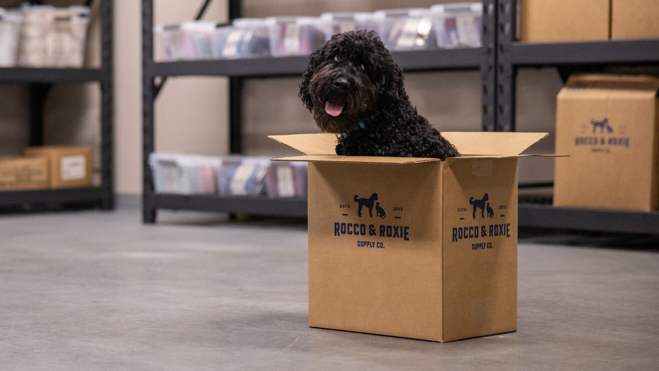 A medium sized black doodle dog sits in a Rocco & Roxie box smiling.