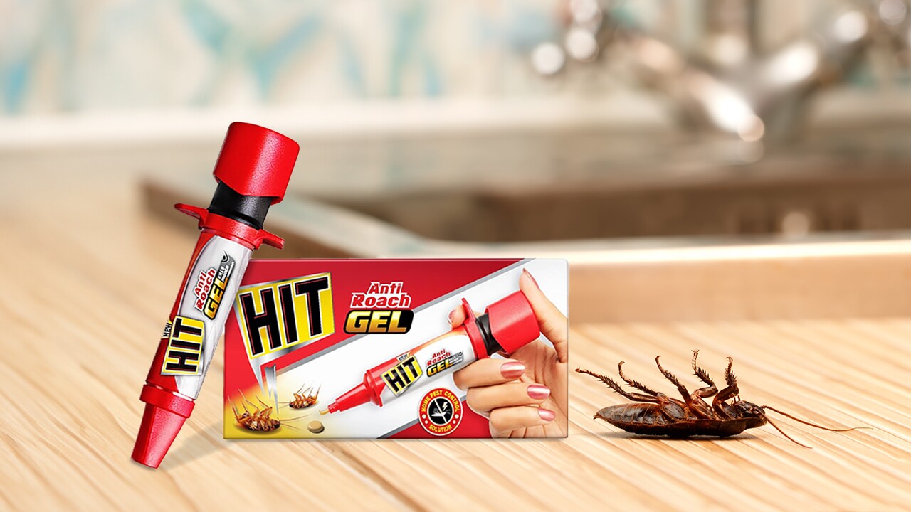 12 effective cockroach killers on Amazon.in for pest control - About ...