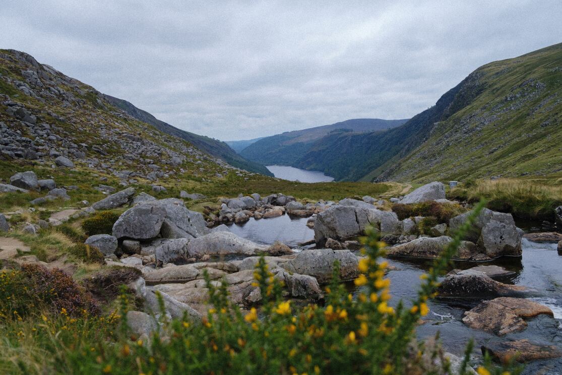 RNCF peatland in Ireland