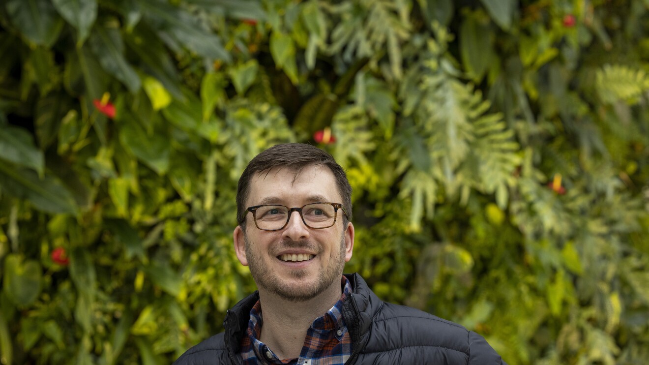 下面描述的领域特性的图像。