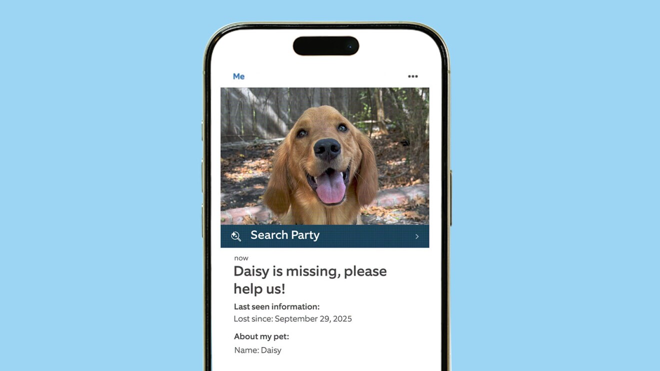 Ring Search Party lost pet notification on phone screen with smiling golden retriever photo