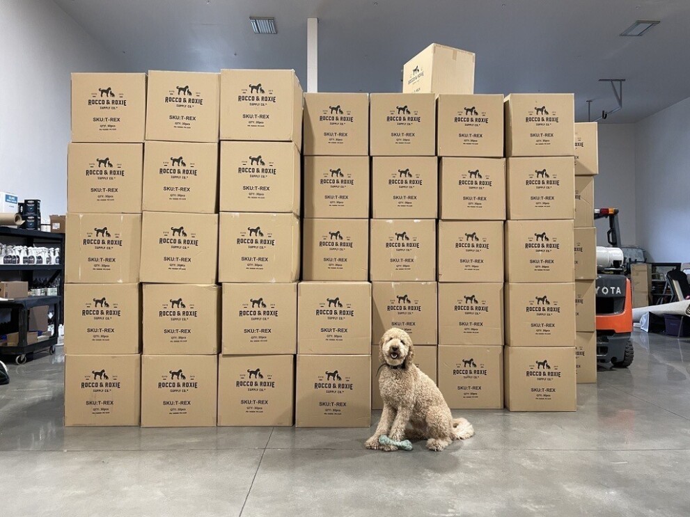 A golden doodle dog sits with a toy in front of a stack of Rocco & Roxie boxes.