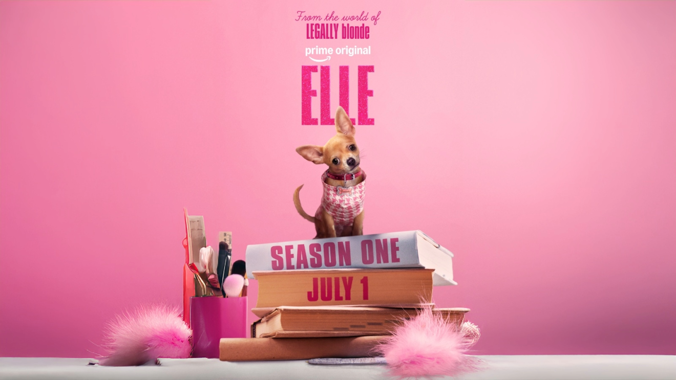 Legally Blonde new prequel called 'Elle': Chihuahua in pink sweater on books promoting 'Elle' TV series