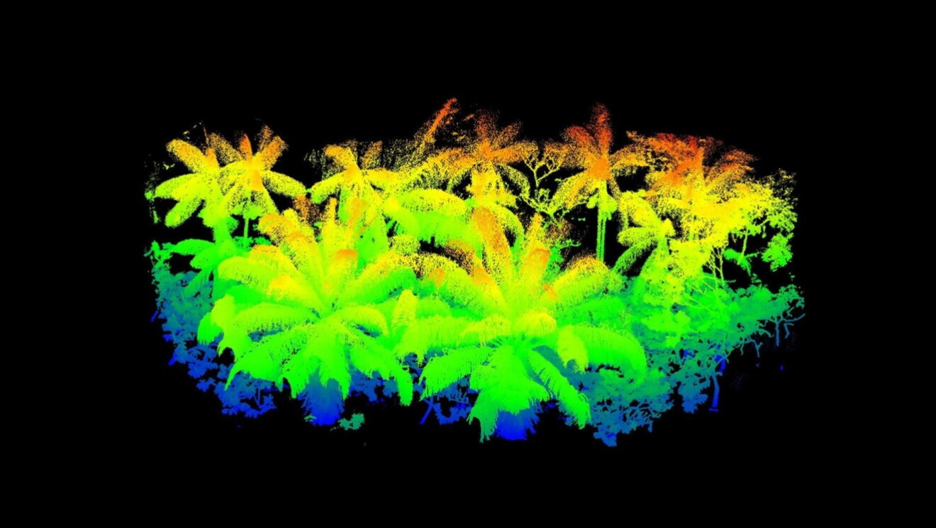 LiDAR