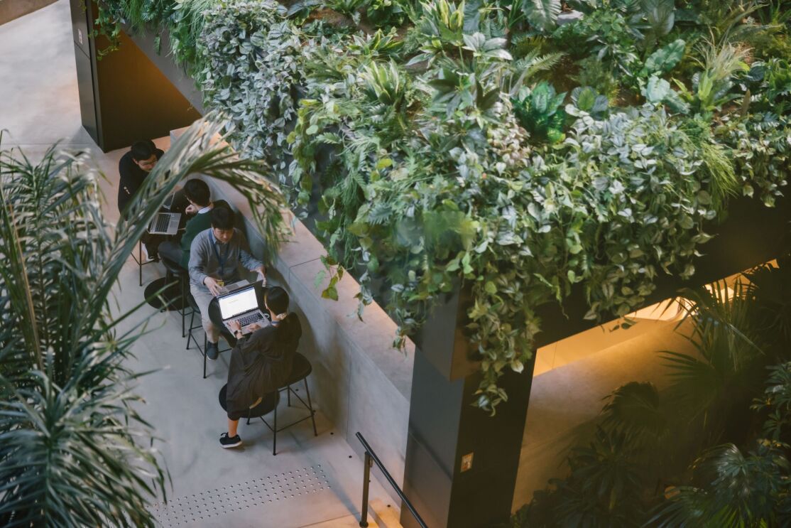 植物が植えられたエリアにあるグレーのパーテーションの横の小さなテーブルをはさんで座っている男女を俯瞰している