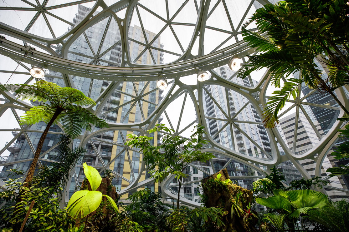An interior shot of The Spheres in Seattle, showing lush green plants, before a geodesic glass dome, with high rise buildings behind it.