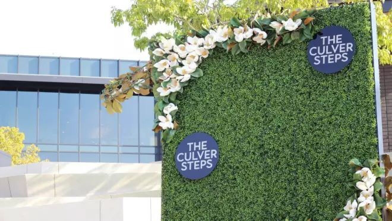 大きな白い花が草の壁に咲いている。その壁はゲートのように立っている。