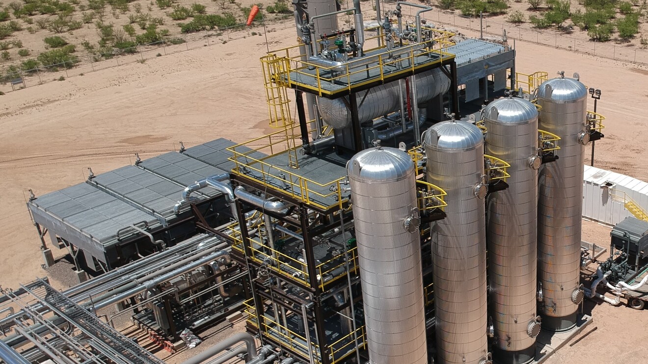 Image of Infinium plant