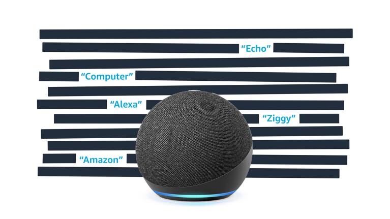 An image of an Amazon Echo device with a background of stripes that have words in between including "Amazon," "Ziggy," "Alexa," "Computer," and "Echo."