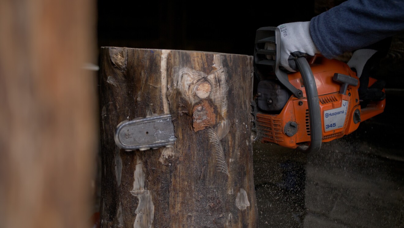 Andreu Carulla en Gistaín preparando el proyecto Diseñando la repoblación.