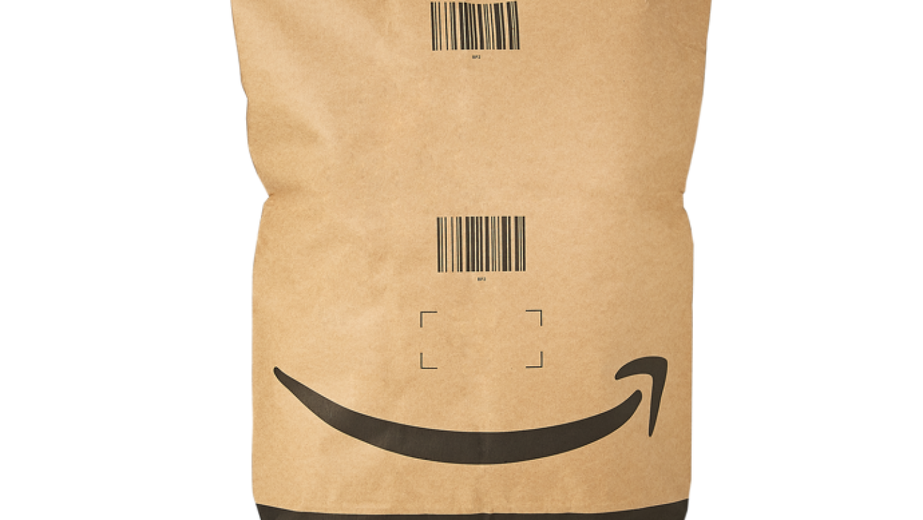 En el salón de un casa y con el árbol de Navidad de fondo hay un regalo en el seulo y encima una bolsa de papel con la sonrisa de Amazon. Al lado dereco un perro estirado con el morro encima de una manta. El suelo és de madera y de fodo se ve una ventana.