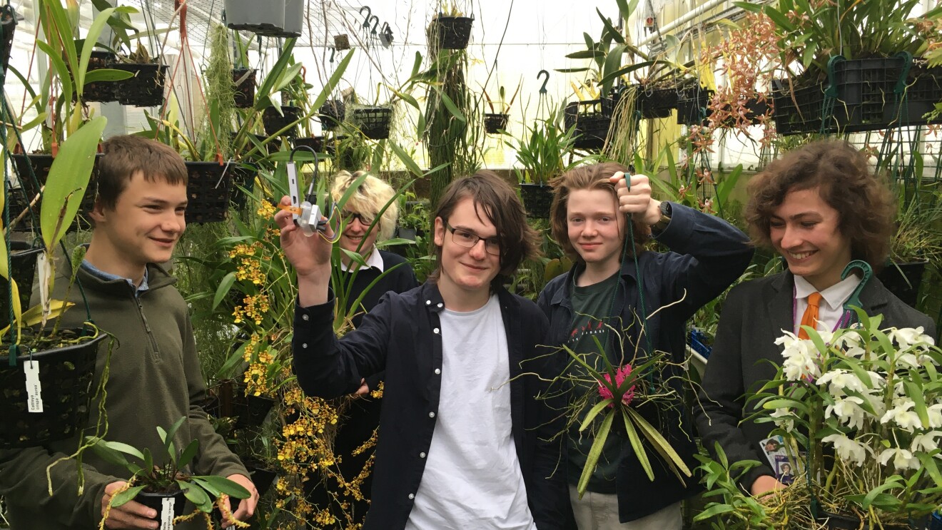 Mendip Studio School (L-R Ed Jones, Amalia Page, Alex May, Joe Weyman, Otto Johnson)