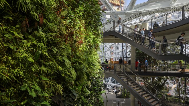 游客们爬上靠近球体内生活墙的楼梯。