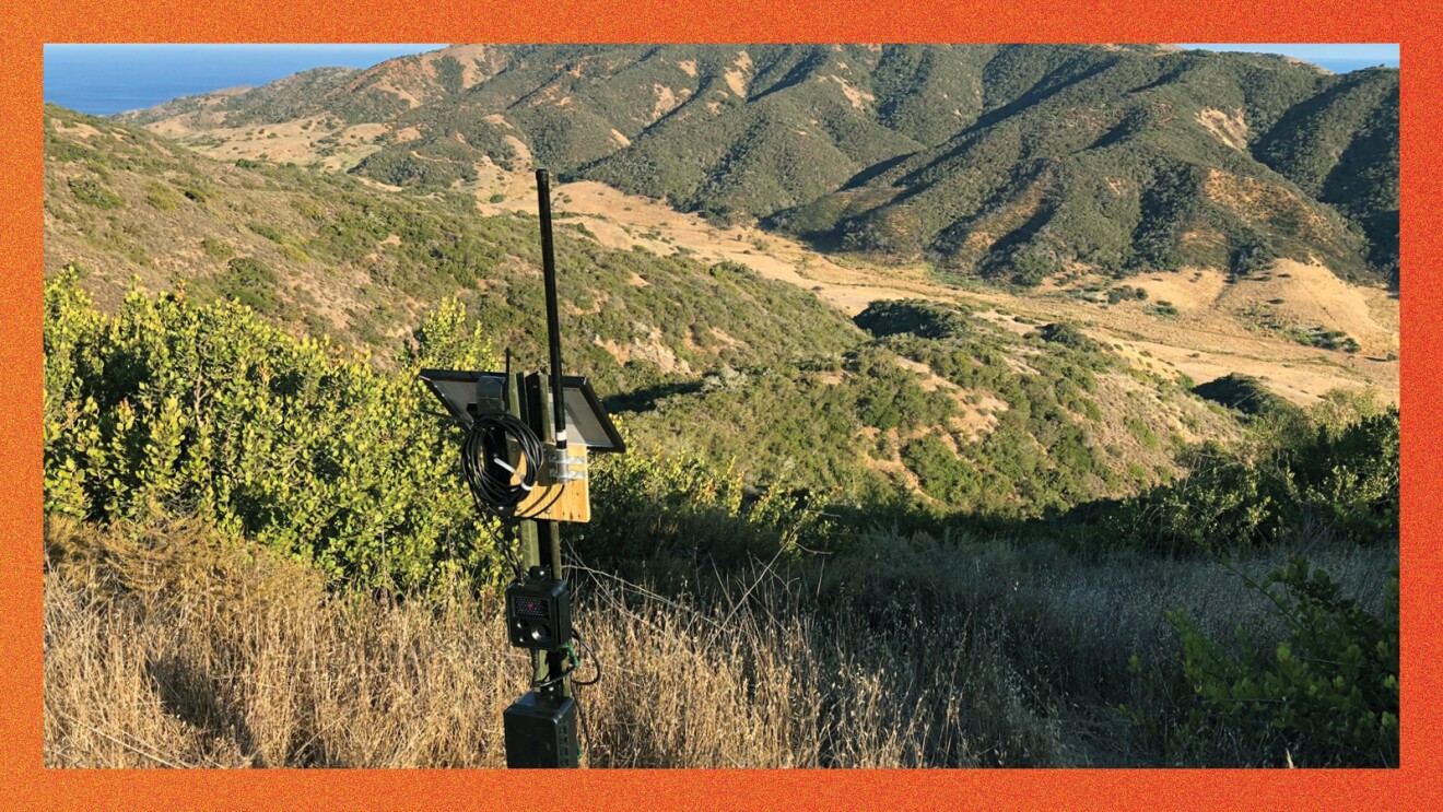 A photo of a wireless camera on the North Ridge on Santa Cruz Island.