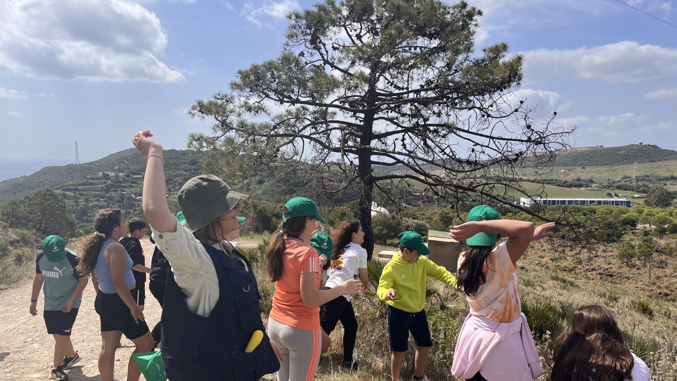 Niños lanzan bolas de semillas para reforestar la sierra en Málaga Sierra Bermeja Cascos Verdes Green Helmets Spain