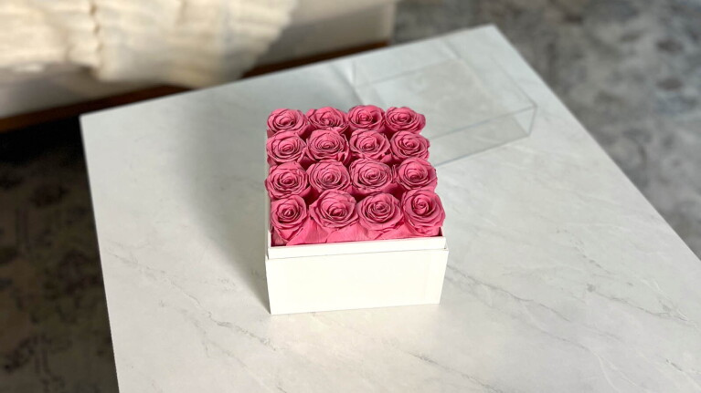 An image of a Valentine’s Day product available on Amazon recommended by lifestyle influencer Ashlan Sorenson.