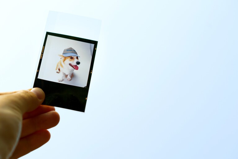 A hand holds a positive film strip that contains a picture of a Welsh Corgi named Rufus, the first dog of Amazon. He is wearing a hat that says amazon.com.