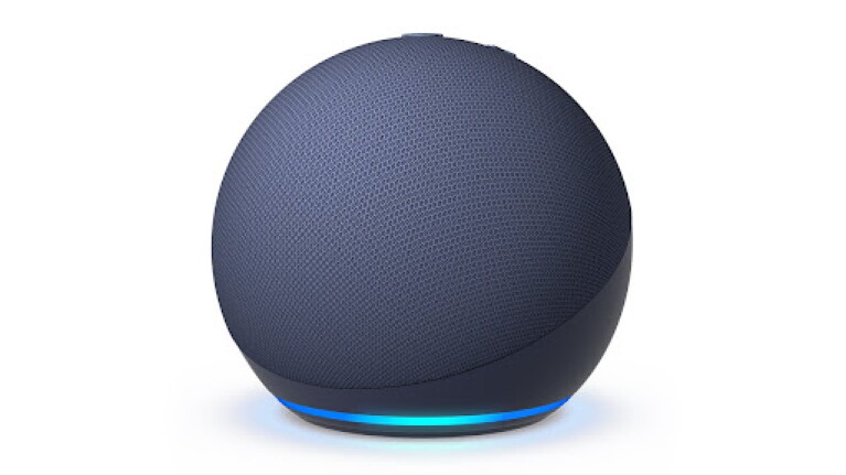 Which Echo device is best for you