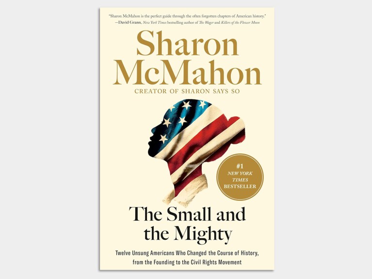 Book cover: The Small and the Mighty by Sharon McMahon, featuring American flag silhouette