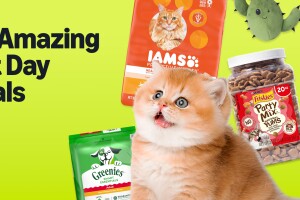 50 Amazing Pet Day Deals promotion with pet food brands and cute kitten